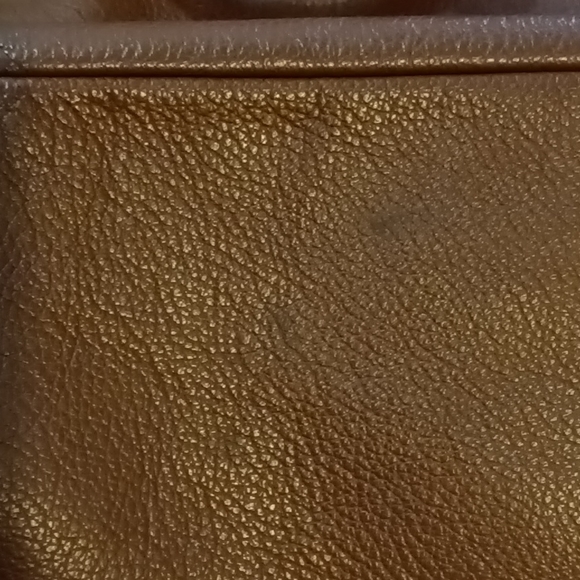 Fossil Tote - Picture 14 of 15